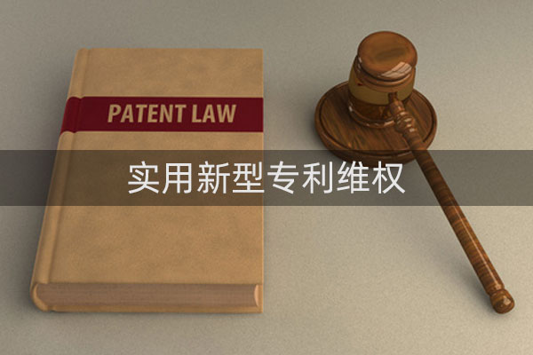 实用新型专利权 实用新型专利权