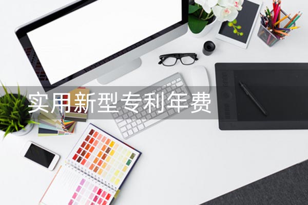 实用型年费 实用型年费