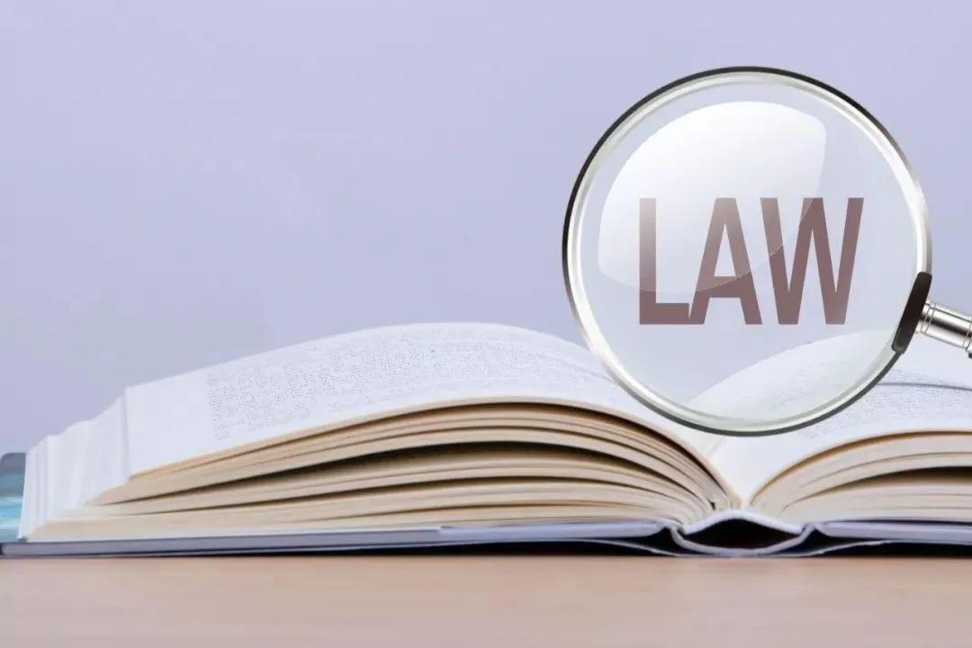 专利权无效宣告的一般意义与特殊意义