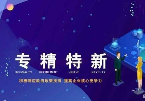 精准扶持，促进“专精特新”企业创新发展