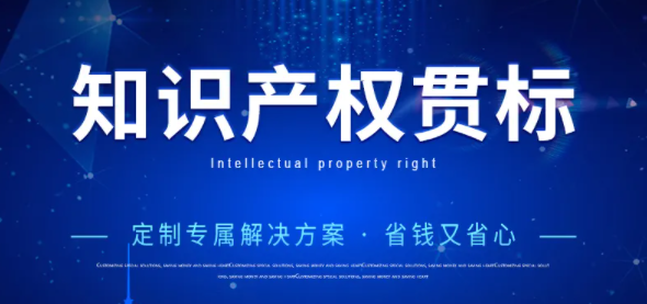 首次通过知识产权管理体系认证，一次性给予10万元奖励！