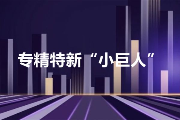 【专精特新】解读为“专精特新”中小企业办实事清单