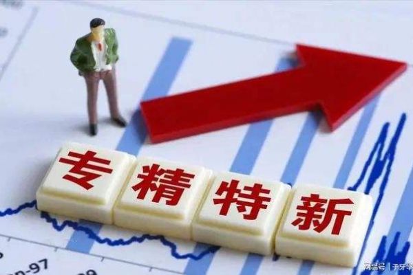 一图全懂！2022年“专精特新”政策精编