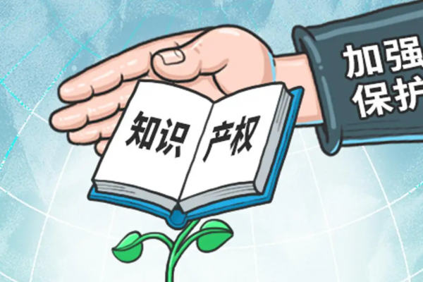 企业知识产权规范管理是什么