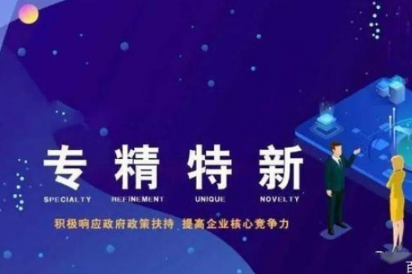 精准扶持，促进“专精特新”企业创新发展