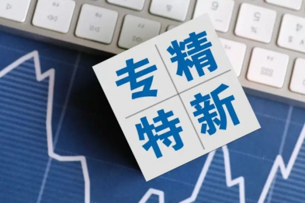 最高奖励300万元！东莞加快培育发展“专精特新”企业