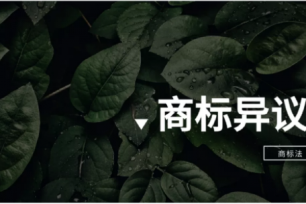 “关于商标异议与被异议，最全攻略在这了